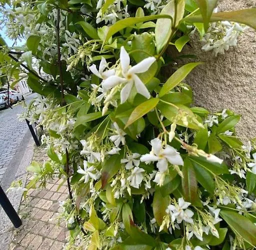 Grand A Chartrons * Bordeaux