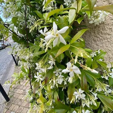 Grand A Chartrons * Bordeaux